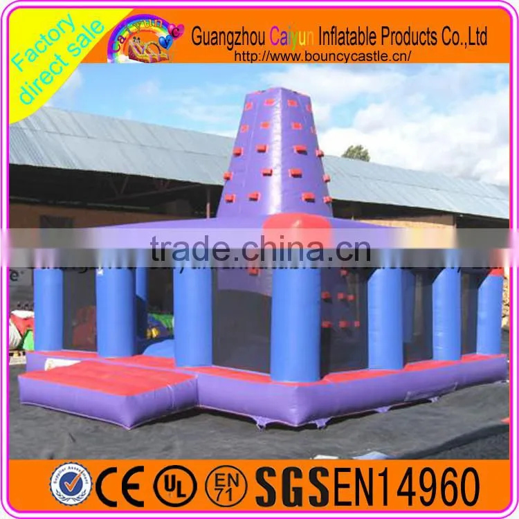 China supply commercial rock climbing wall