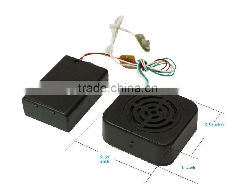 latest new style flashing/recording cute key chain