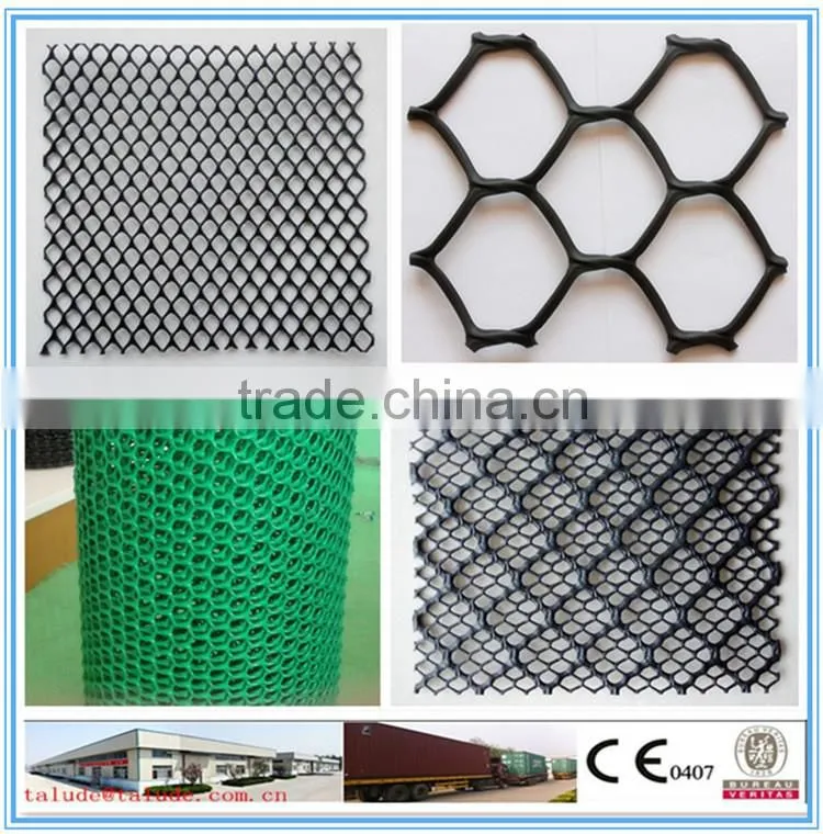 HDPE plastic geonet CE121 CE131 CE151 CE161 CE163 CE181