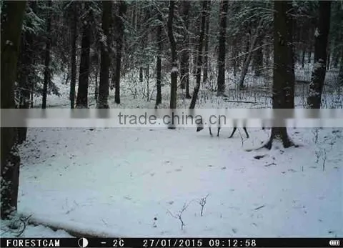 Scouting hunting camera HD GPRS MMS Digital 940NM Infrared Trail Camera GSM 2.0' LCD Hunter