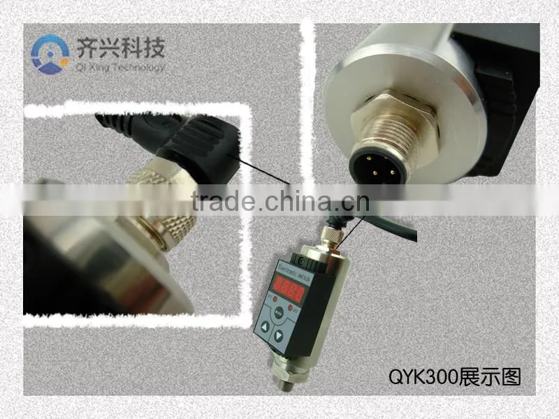 intelligent pressure switch,micro pressure switches for sale,stainless steel digital pressure switch