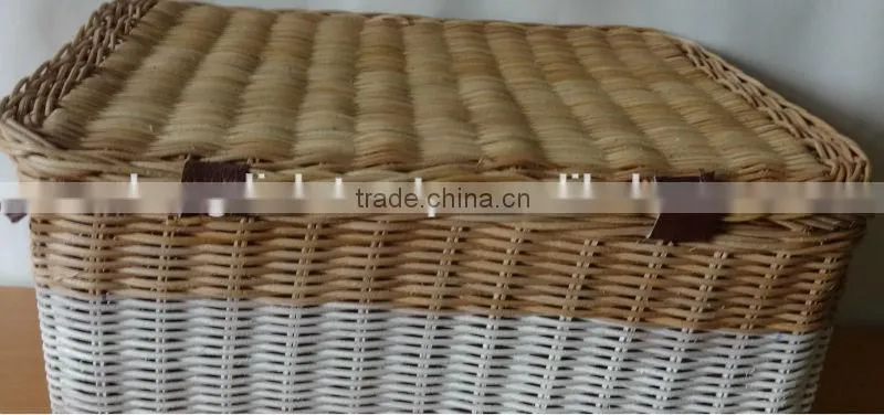 Rect. Bio Color Rattan Box With Lid and Nice Handles