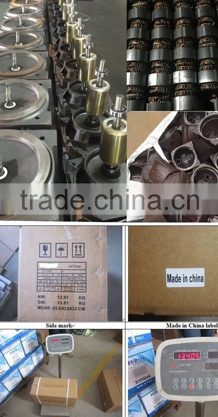 (100L 0.75KW 1HP) China High Pressure Water Jet Pump Cast Iron Water Jet