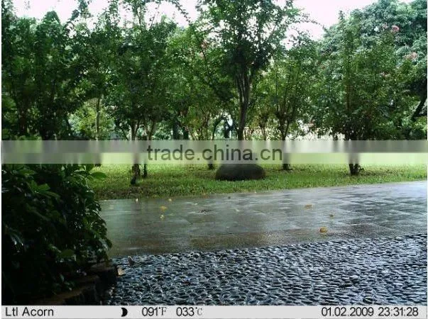 IR INFRARED GAME CAMERA 12 MP BEST PRICE ANYWHERE!!!!!! KO-HC01