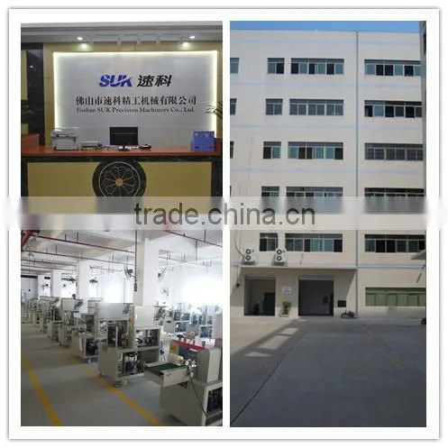 SZ-250D High speed pillow packaging machine