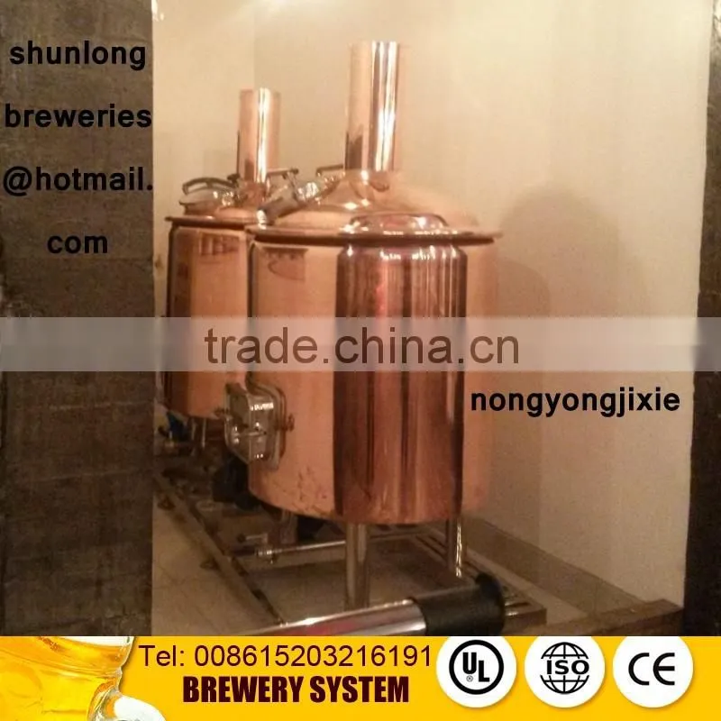 high quality 300L pub brewery equipment made in China with electric heating