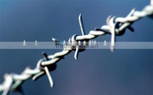 Hot Popular Low Price Galvanized Barbed Wire