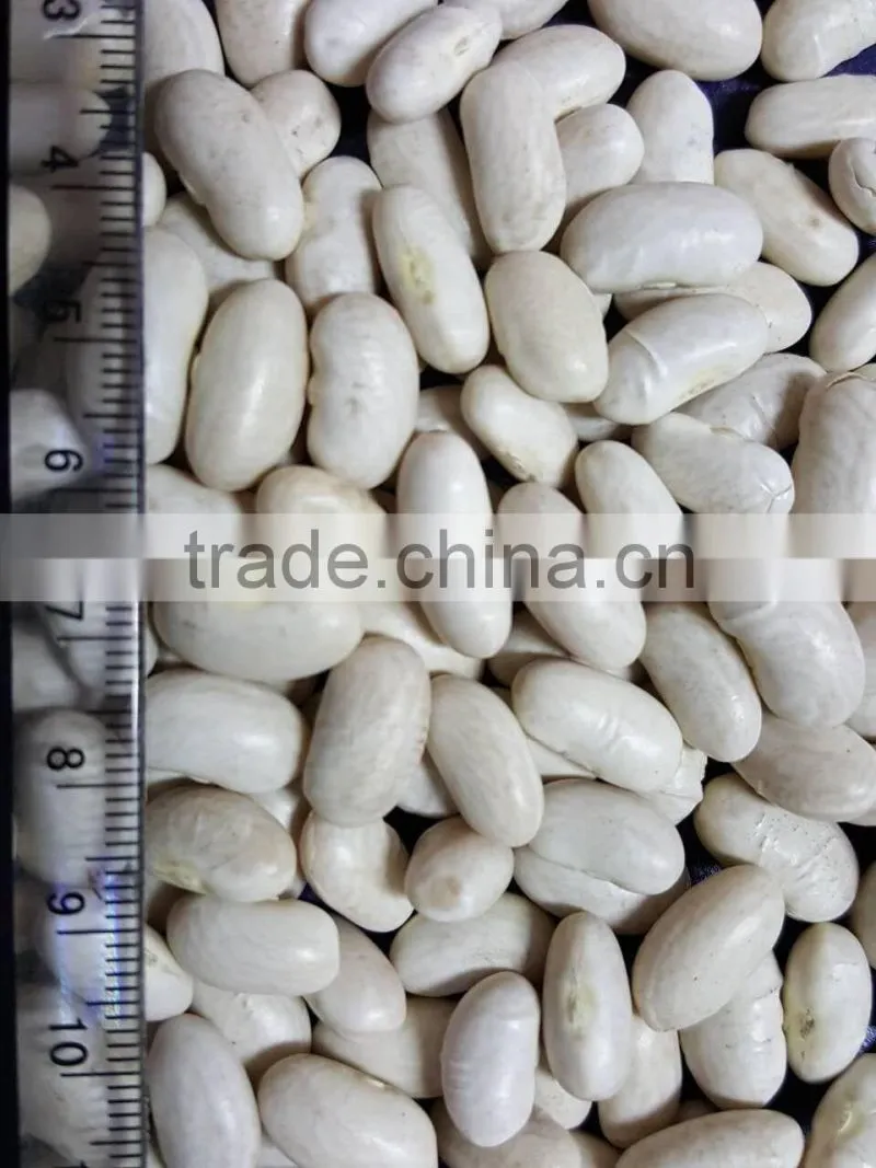 Good quality canned white kidney beans