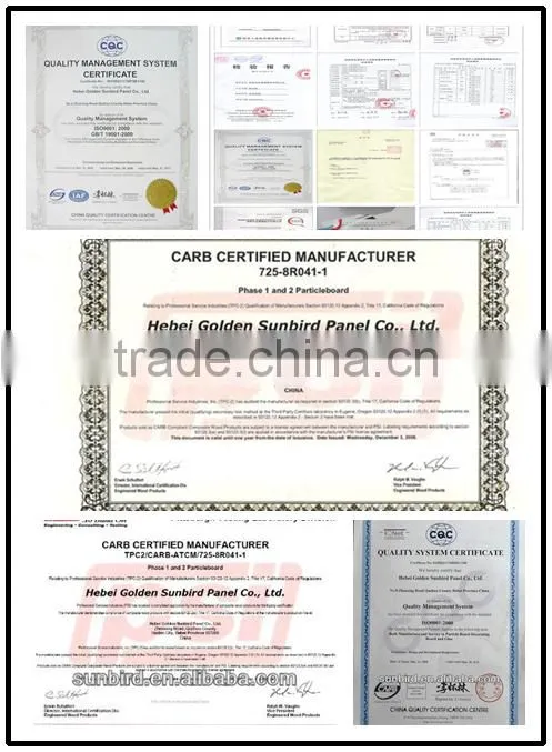 packing plywood vietnam 4 ft. x 8 ft. 3mm-28mm/kitchen decoration polyester plywood china waterproof plywood vietnam