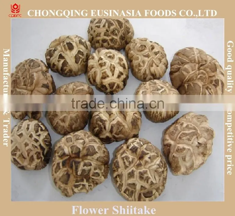 Dried Flower Mushroom