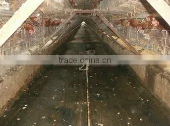 chicken house manure remove equipment