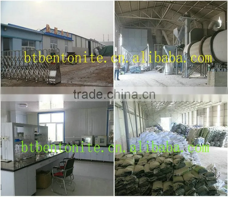 cat litter china