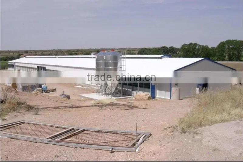 Steel structure chicken shed /environmental control steel house