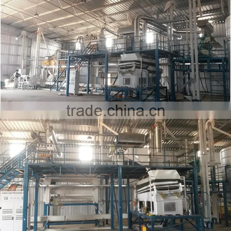 The Best Quality Maize Seed Processing Plant