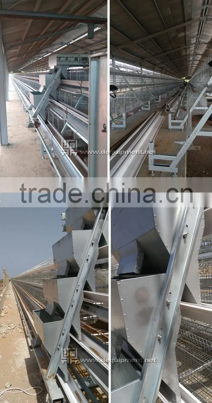 a type automatic battery chicken layer poultry cages for nigeria/africa