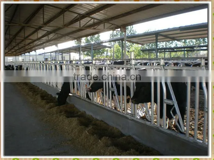 Hot dip galvanized cattle fence