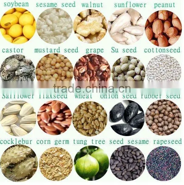 fit world market popular high output blue flaxseed oil extraction machine price