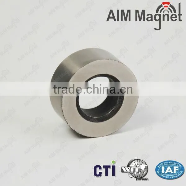 magnetic fastener