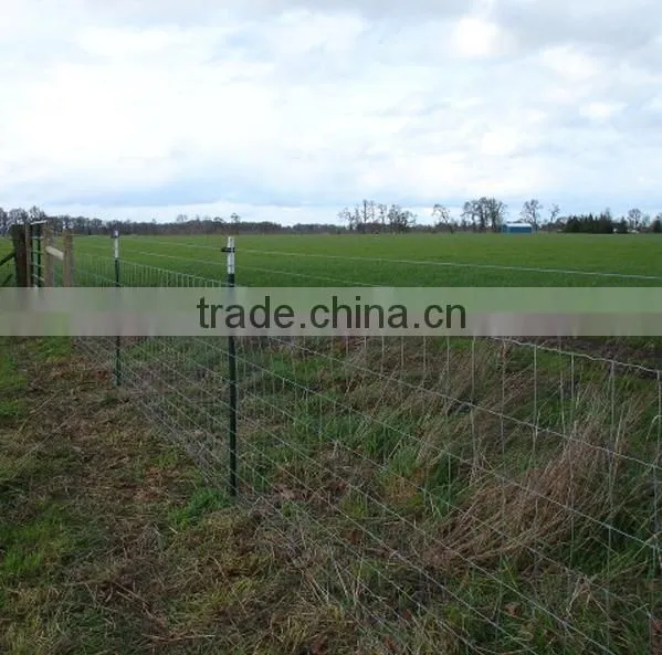 Galvanized steel deer fence, deer farm fencing, deer fencing sale (ISO 9001)