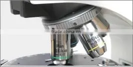 BK-POL Polarizing Microscope