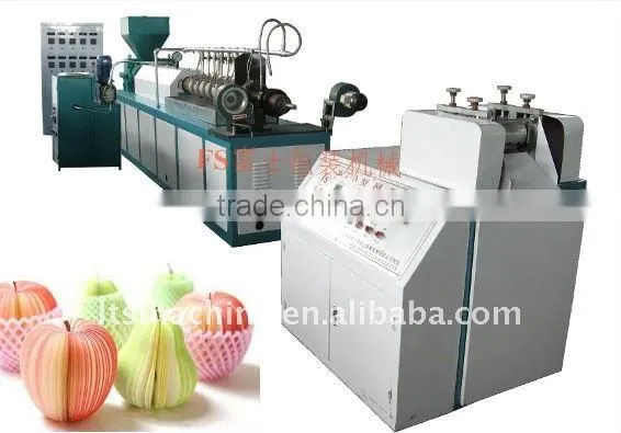 PE Foam Net Extruder(FS-FPW75)