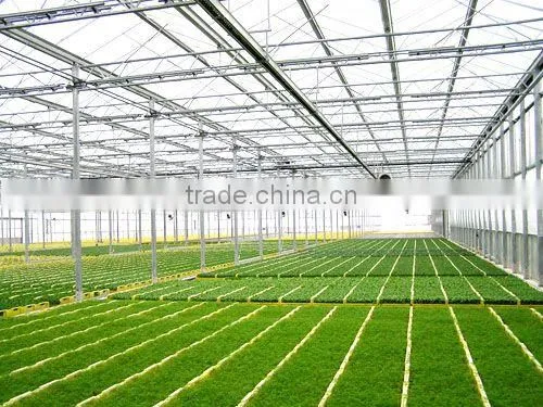 BaoLiDa pc shed greenhouse hot-dip galvanized steel pipe structure for roses