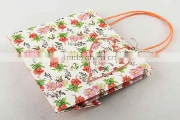 Colorful Shopping Paper Bag With Card /Printed Foldable Gift Bag