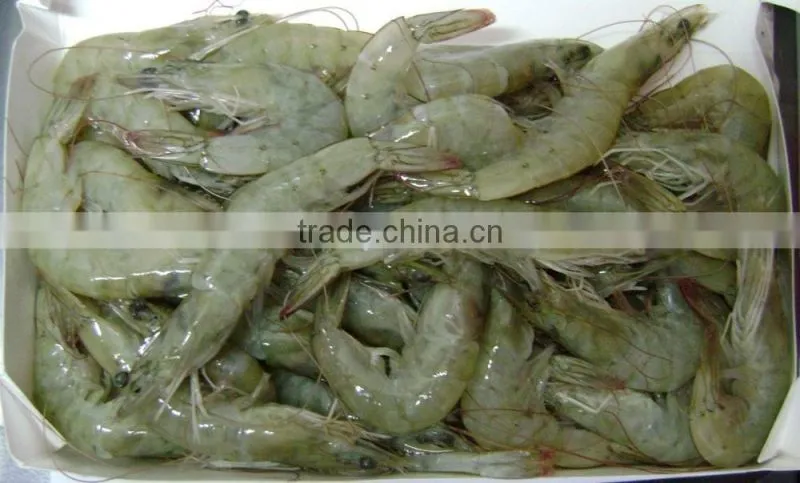 HL002 shrimp on sale FDA Certification