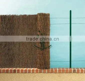 brushwood fences