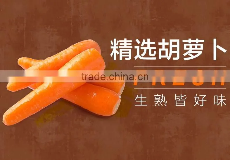 Chinese fresh Vegetable fresh market carrot