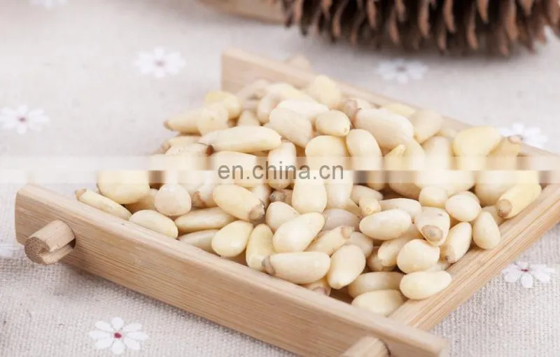 Pine cone processing machine | pine cone nuts sheller /shelling machine/ pinecone peeling machine