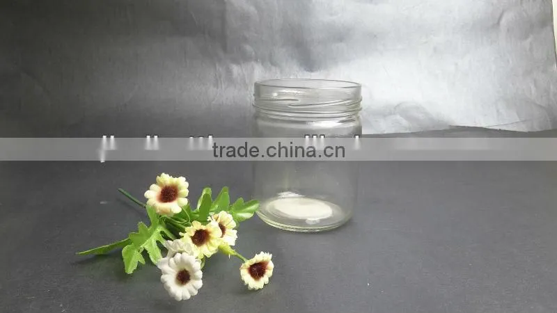 New products of very popular with 400ml Tissue culture bottle