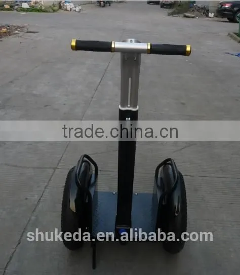 2014 New Condition remote controller Zero-emission electric chariot