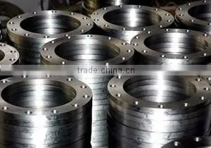 standard ANSI B 16.5 class900 forged flange in A105 material