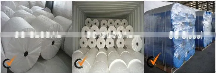 2013 NEW pe tarpaulin sheet