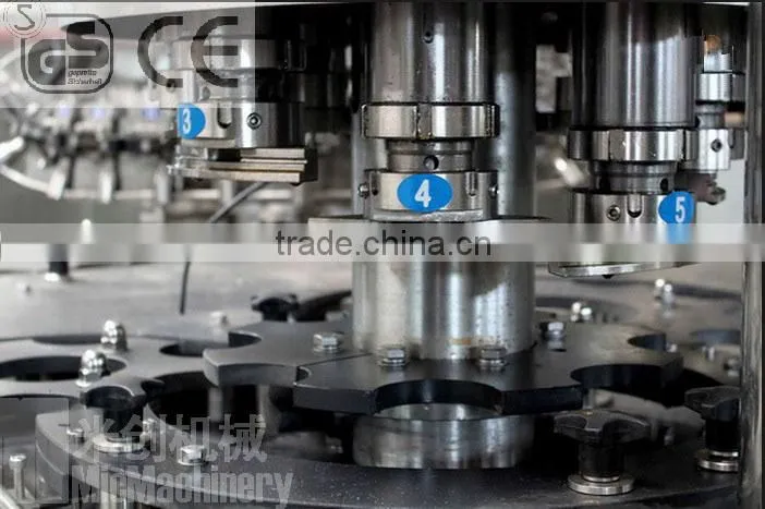 MIC24-24-24-8 Automatic fruit particles filling machine