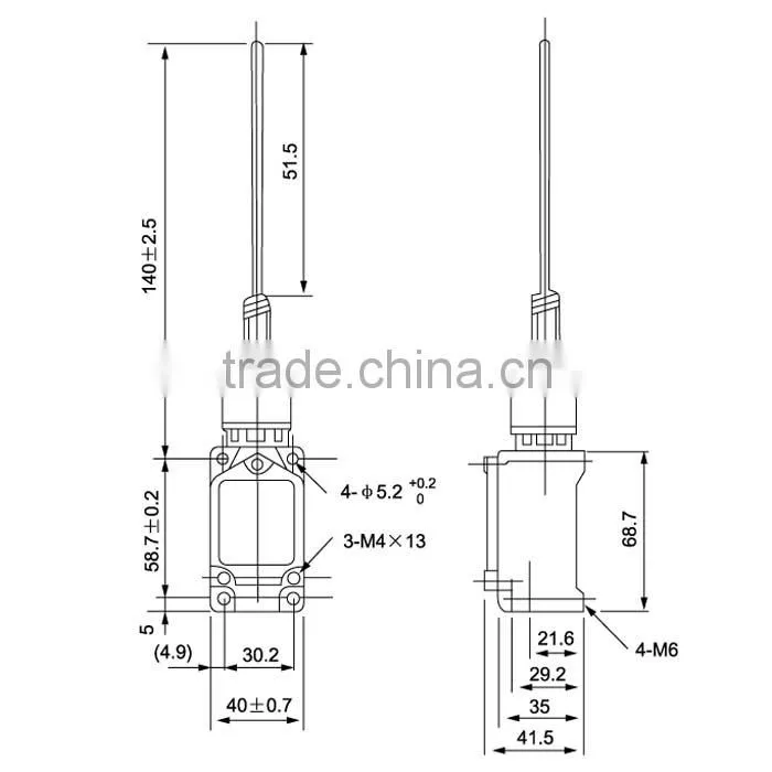 stainless steel cats whisker lever switch magnetic limit switch WLNJ-S2 TZ 5169 YBLX-WL/S2