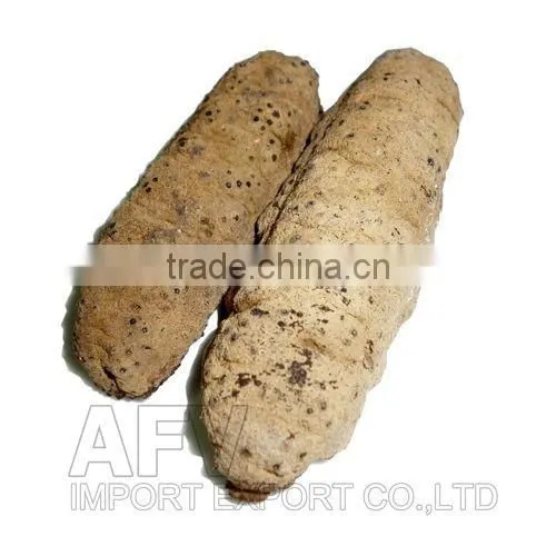 Dried Sea Cucumber Vietnam, Curry Fish, Stichopus Hermanni