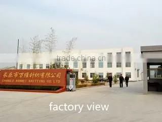Changle Wanwei Knitting Co., Ltd. company overview - view 1