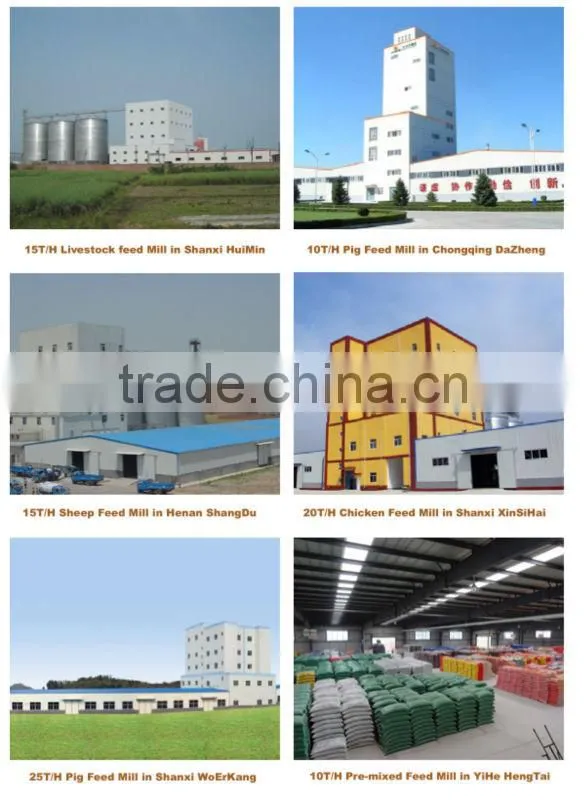Hot Sale Grain Pre Cleaner for Poultry Feed Crumble Machine
