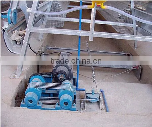 galvanized quail cage with automatic system