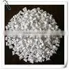 White Masterbatch/Color Masterbatch for Blown Film