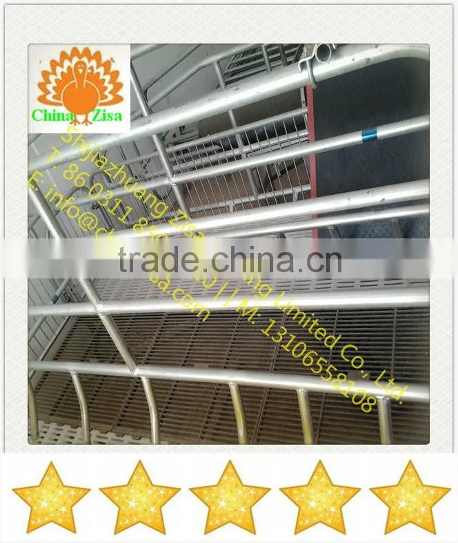 pig farming equipment