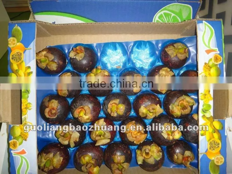 Thermoformed Plastic Food Packaging Insert Liner
