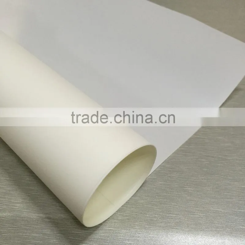 Waterproof Glossy White PET Backlit Film for Pigment