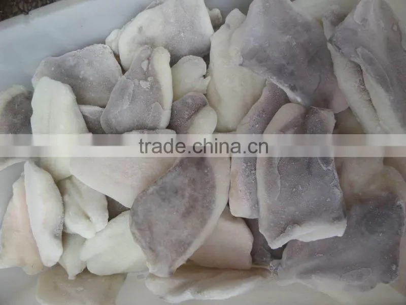 2016 new coming Frozen John Dory fillet for market