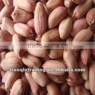 Peanut Price