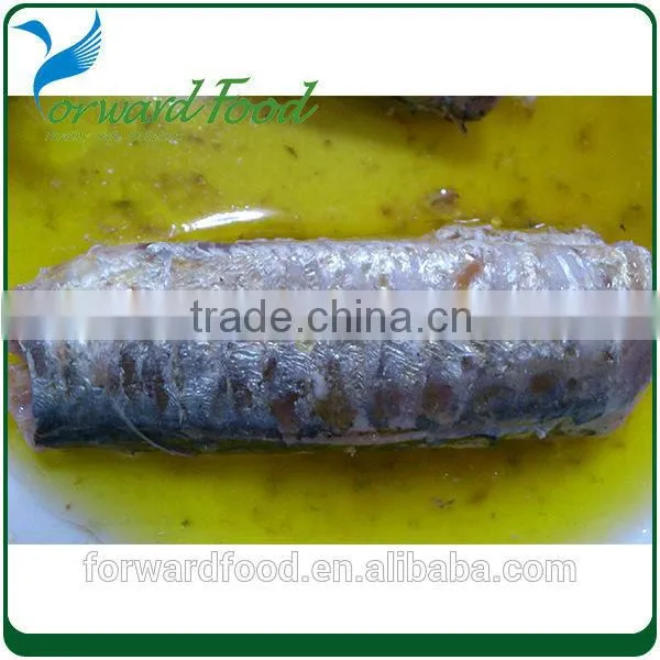 canned sardine in oil sardine fish canned