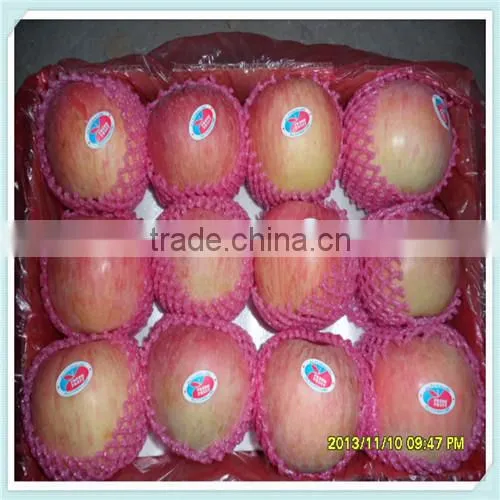 Fresh Style and Apple Type fresh apple from China 2014