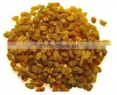 Round Natural Indian Raisine